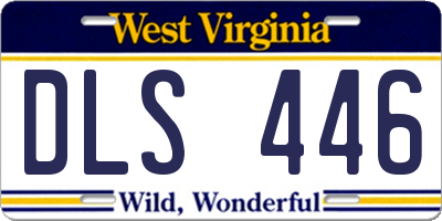 WV license plate DLS446