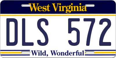 WV license plate DLS572