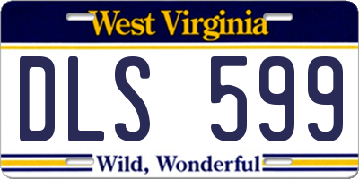 WV license plate DLS599