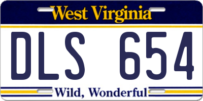 WV license plate DLS654