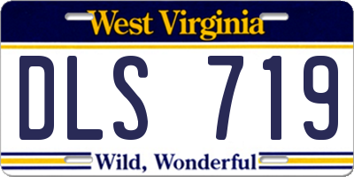 WV license plate DLS719