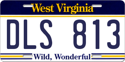 WV license plate DLS813