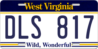 WV license plate DLS817