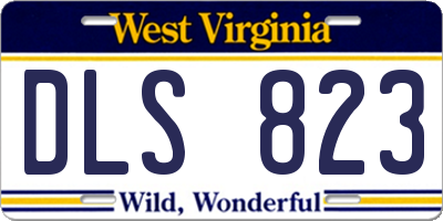 WV license plate DLS823
