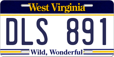 WV license plate DLS891