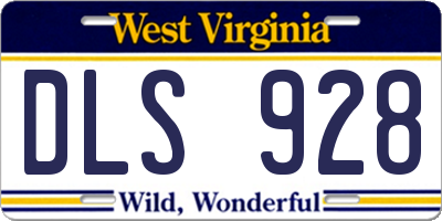 WV license plate DLS928