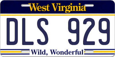 WV license plate DLS929