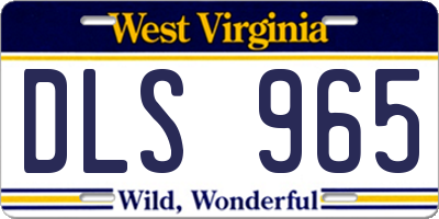 WV license plate DLS965