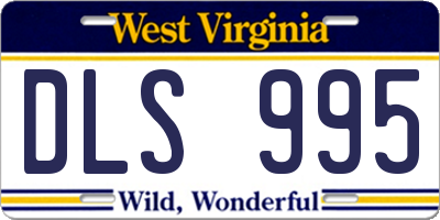 WV license plate DLS995