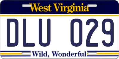 WV license plate DLU029