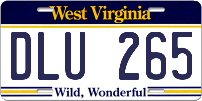 WV license plate DLU265