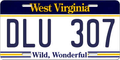 WV license plate DLU307