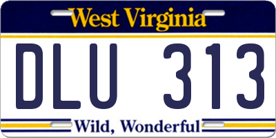 WV license plate DLU313