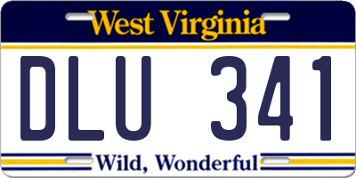 WV license plate DLU341