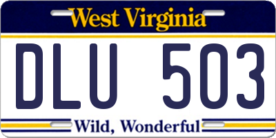 WV license plate DLU503
