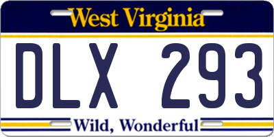 WV license plate DLX293
