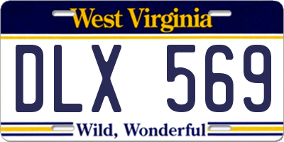 WV license plate DLX569
