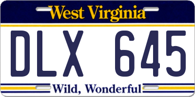 WV license plate DLX645