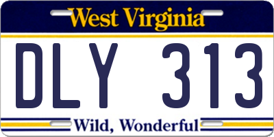 WV license plate DLY313