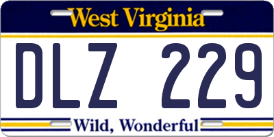 WV license plate DLZ229