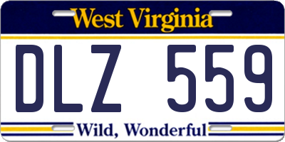 WV license plate DLZ559