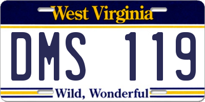 WV license plate DMS119
