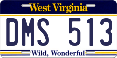 WV license plate DMS513