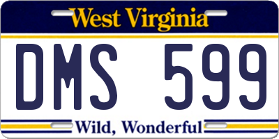 WV license plate DMS599
