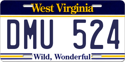 WV license plate DMU524