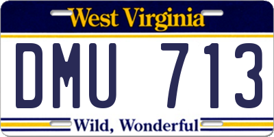 WV license plate DMU713