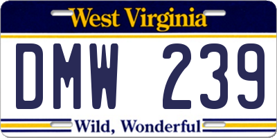 WV license plate DMW239