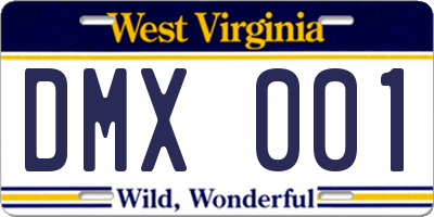 WV license plate DMX001