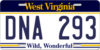 WV license plate DNA293