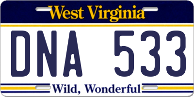 WV license plate DNA533
