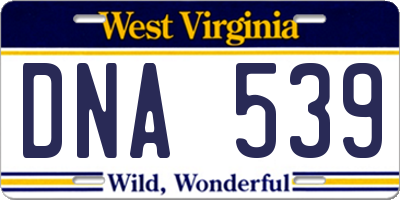 WV license plate DNA539