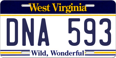 WV license plate DNA593