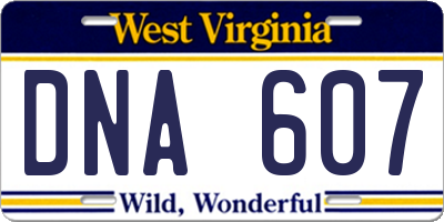 WV license plate DNA607