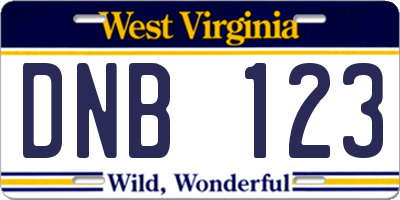 WV license plate DNB123