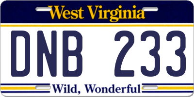 WV license plate DNB233