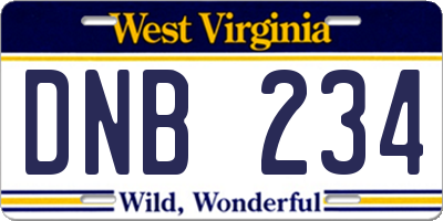 WV license plate DNB234