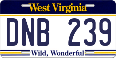 WV license plate DNB239