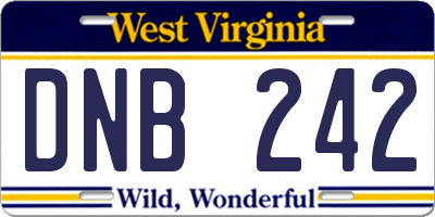 WV license plate DNB242