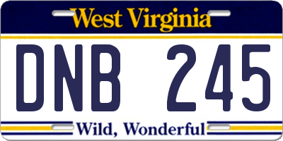 WV license plate DNB245