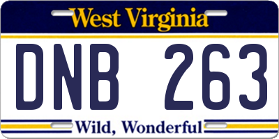 WV license plate DNB263