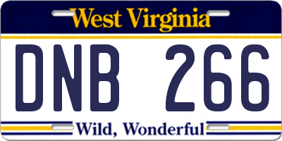 WV license plate DNB266