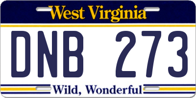 WV license plate DNB273