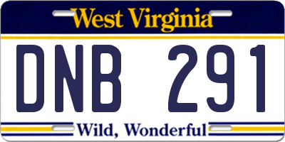 WV license plate DNB291