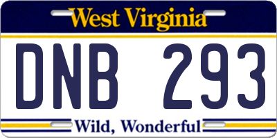 WV license plate DNB293