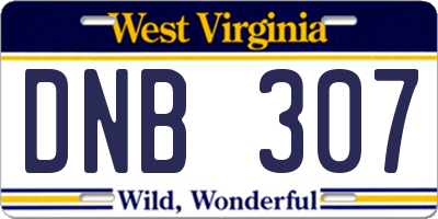 WV license plate DNB307