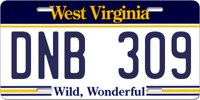 WV license plate DNB309